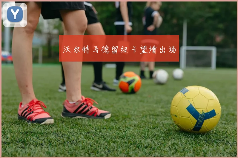 沃尔特马德留纽卡望增出场